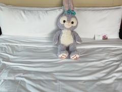 -上海新发展亚太JW万豪酒店