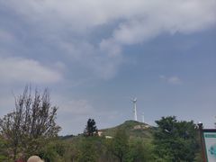 -东白山