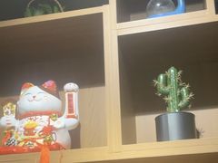 -梵猫·新养生(福州万象城店)