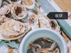 -仙螺岛景区