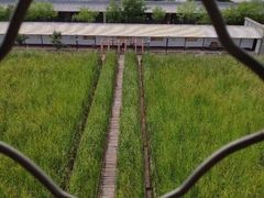 -河北村民俗体验园