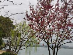 -浙江西子宾馆·瑶园咖啡厅