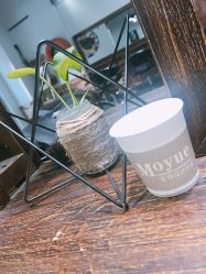 -Moyue HAIR SALON
