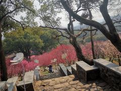 -无锡梅园公园