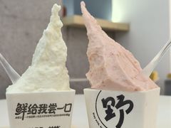 -野人先生现做冰淇淋(北京环宇荟店)