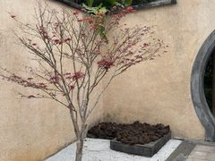 -腾冲和顺柏联酒店