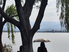 -西昌邛海湿地