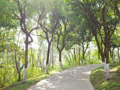 -燕晗山郊野公园
