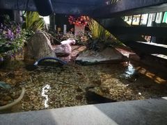 -范设计花园餐酒咖·中西餐·咖啡厅·酒馆