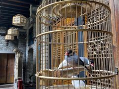 -鱼桥巷·美学川菜