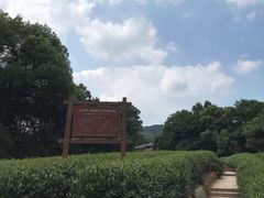 -西湖风景区十里琅珰-五云山