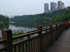 -重庆彩云湖湿地公园