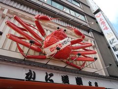 -蟹道乐(道顿堀本店)