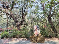 -北海金海湾红树林生态旅游区