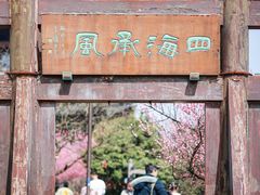 -杭州半山国家森林公园