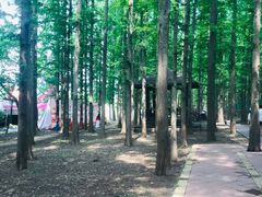 -南京金牛湖风景区