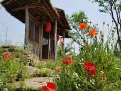 -驿舍·民國老营房院子私房菜(科学会堂店)