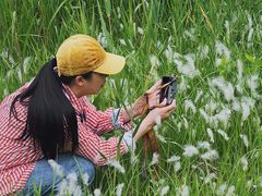 -昆山城市生态森林公园