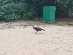 -亚洲大陆最南端