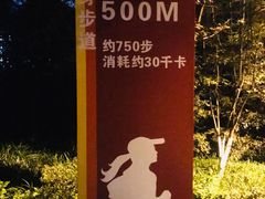 -龙头寺公园