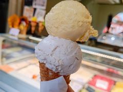 芒果味冰淇淋-Mint Gelato(二厂店)