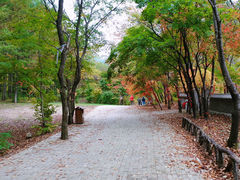 -龙道沟景区
