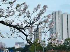 -成都市活水公园