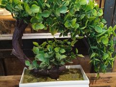 -永安鱼庄·镇江菜(三店纬五路店)