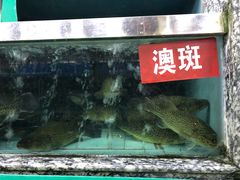 -新农都水产市场