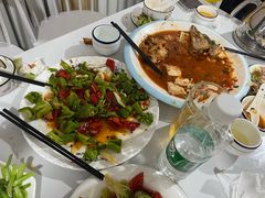 -煲来饱去冷水鱼
