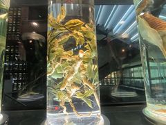 -广东中医药博物馆