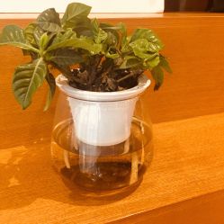 -时尚殿堂·颜SPA