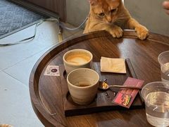 -Again Coffee Roaster(香蜜湖店)