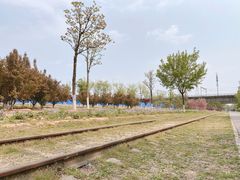 -永定河休闲森林公园