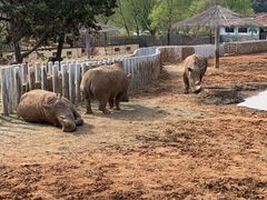 -沈阳森林动物园