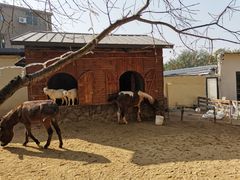 -HERRE·FARM 赫尔露营农场·团建聚会包场