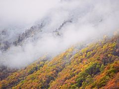 -叠溪松坪沟景区
