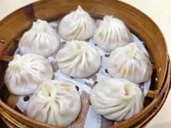 -莱莱小笼·乔艾