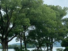 -浙江西子宾馆·瑶园咖啡厅