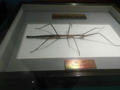 -上海昆虫博物馆