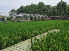 -洪湖家庭农场·团建·露营·会议
