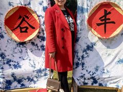 -南宁良凤江国家森林公园