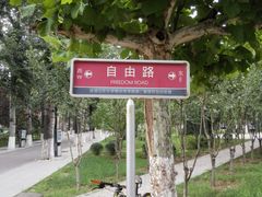 -山东大学(洪家楼校区)