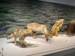 -中国湿地博物馆