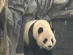 -武汉动物园