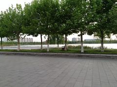 -南开大学滨海学院