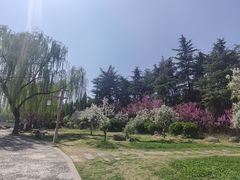 -洛阳市隋唐城遗址植物园