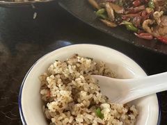 -蘑统田下·野生菌火锅