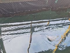 -蓝湾碧波·老字号·疍家非遗海上餐厅