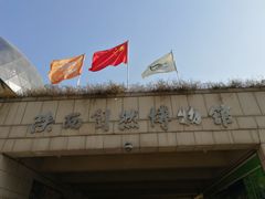 -陕西自然博物馆